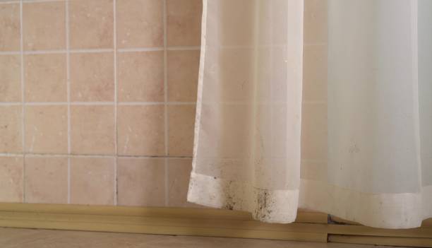 Best Mold Odor Removal Services  in Helena, AL